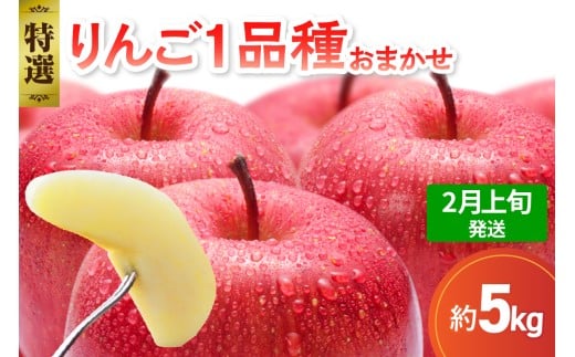 【2026年2月上旬発送】 【特選】 旬の美味しい りんご 約5kg 青森産 【おまかせ1品種】青森県五所川原市20000果物・フルーツりんご・梨