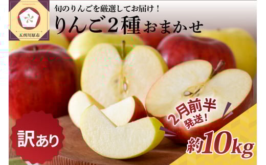 【2026年2月前半発送】 【訳あり】 りんご 約10kg 青森産 品種おまかせ2種以上青森県五所川原市23000果物・フルーツりんご・梨