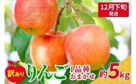 【2025年12月下旬発送】 【訳あり】 旬の美味しい りんご 約5kg 青森 産 【おまかせ1品種】青森県五所川原市13000果物・フルーツりんご・梨