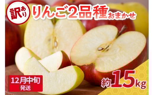 【2025年12月中旬発送】 【訳あり】旬の美味しいりんご 約15kg 青森産 【おまかせ2品種】青森県五所川原市30000果物・フルーツりんご・梨