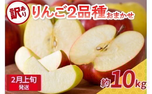 【2026年2月上旬発送】 【訳あり】 旬の美味しい りんご 約10kg 青森産 【おまかせ2品種】青森県五所川原市23000果物・フルーツりんご・梨