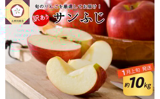 【2026年1月上旬発送】 【訳あり】 りんご 約10kg サンふじ 青森産青森県五所川原市21000果物・フルーツりんご・梨