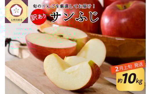 【2026年2月上旬発送】 【訳あり】 りんご 約10kg サンふじ 青森産青森県五所川原市21000果物・フルーツりんご・梨