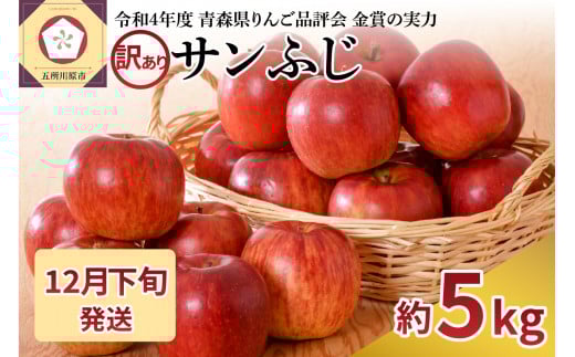 【2025年12月下旬発送】【訳あり】りんご 青森産 約5kg サンふじ青森県五所川原市14000果物・フルーツりんご・梨