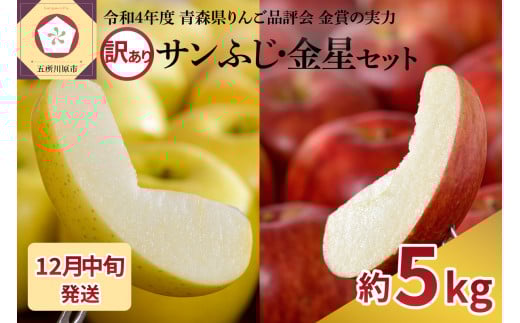 【2025年12月中旬発送】【訳あり】 りんご 青森産 約5kg サンふじ 金星青森県五所川原市14000果物・フルーツりんご・梨