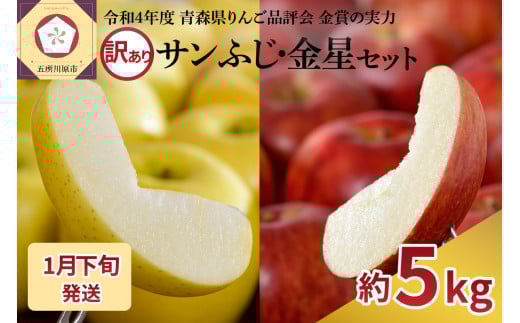 【2026年1月下旬発送】【訳あり】りんご 青森産 約5kg サンふじ 金星青森県五所川原市14000果物・フルーツりんご・梨