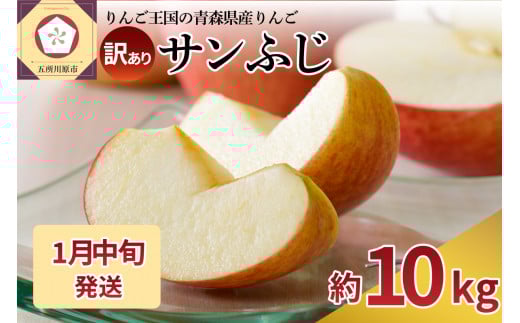 【2026年1月中旬発送】 【訳あり】 りんご 約10kg サンふじ 青森産青森県五所川原市17000果物・フルーツりんご・梨
