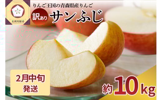 【2026年2月中旬発送】 【訳あり】 りんご 約10kg サンふじ 青森産青森県五所川原市17000果物・フルーツりんご・梨