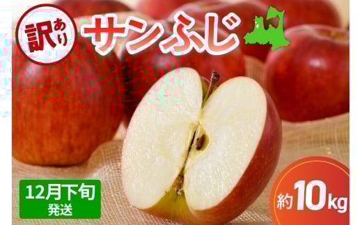 【先行受付】【2025年12月下旬発送】 サンふじ青森 訳あり りんご 10kg 程度 五所川原 不揃い青森県五所川原市24000果物・フルーツりんご・梨