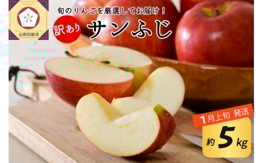 【2026年1月上旬発送】 【訳あり】 りんご 約5kg サンふじ 青森産青森県五所川原市17000果物・フルーツりんご・梨