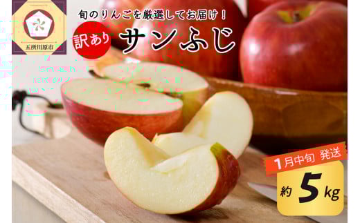 【2026年1月中旬発送】 【訳あり】 りんご 約5kg サンふじ 青森産青森県五所川原市17000果物・フルーツりんご・梨