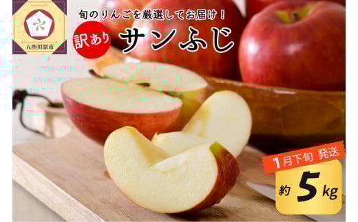 【2026年1月下旬発送】 【訳あり】 りんご 約5kg サンふじ 青森産青森県五所川原市17000果物・フルーツりんご・梨