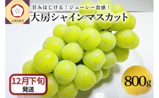 【2025年12月下旬発送】 シャインマスカット 大房 800g 青森産青森県五所川原市21000果物・フルーツマスカット・ぶどう