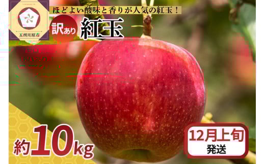【2025年12月上旬発送】【訳あり】 りんご 10kg 紅玉 アップルパイ に最適 青森 不揃い青森県五所川原市23000果物・フルーツりんご・梨