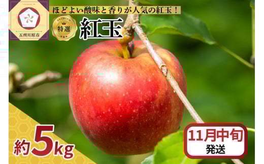 【2025年11月中旬発送】 【特選】りんご 5kg 紅玉 青森青森県五所川原市20000果物・フルーツりんご・梨