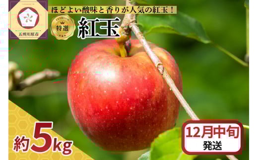 【2025年12月中旬発送】【特選】 りんご 5kg 紅玉 青森青森県五所川原市20000果物・フルーツりんご・梨