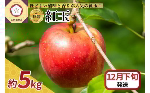 【2025年12月下旬発送】【特選】 りんご 5kg 紅玉 青森青森県五所川原市20000果物・フルーツりんご・梨