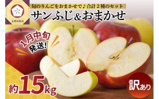 【2026年1月中旬発送】【訳あり】 りんご 15kg 詰め合わせ 計2種(サンふじ と 他1種) 不揃い フルーツ 家庭用青森県五所川原市30000果物・フルーツりんご・梨