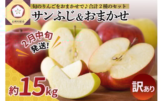 【2026年2月中旬発送】【訳あり】 りんご 15kg 詰め合わせ 計2種(サンふじ と 他1種) 不揃い フルーツ 家庭用青森県五所川原市30000果物・フルーツりんご・梨