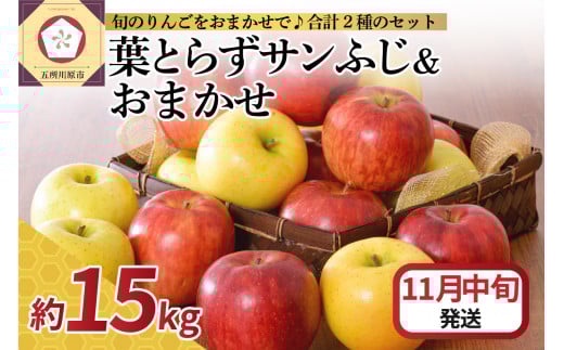 【2025年11月中旬発送】 りんご 15kg 詰め合わせ 計2種(葉とらず サンふじ と 他1種)青森県五所川原市30000果物・フルーツりんご・梨