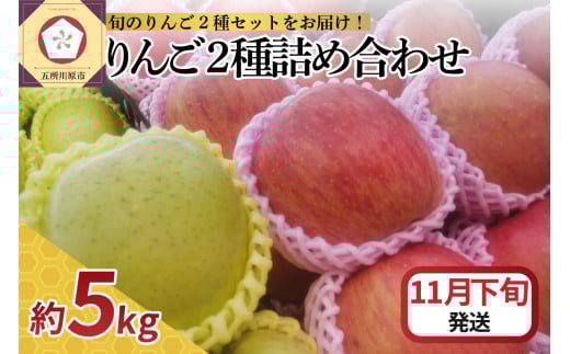 【2025年11月下旬発送】 りんご 5kg サンふじ 王林 他 紅白 詰め合わせ 青森青森県五所川原市20000果物・フルーツりんご・梨