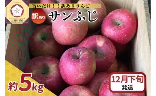 【2025年12月下旬発送】 【訳あり】 りんご サンふじ 5kg 青森青森県五所川原市12000果物・フルーツりんご・梨