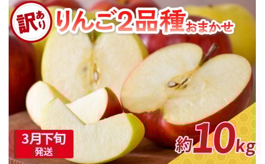 【2026年3月下旬発送】 【訳あり】 旬の美味しい りんご 約10kg 青森産 【おまかせ2品種】青森県五所川原市23000果物・フルーツりんご・梨