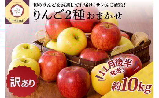 【2025年11月後半発送】 【訳あり】 りんご 約10kg サンふじ確約 青森産 品種おまかせ2種以上青森県五所川原市23000果物・フルーツりんご・梨
