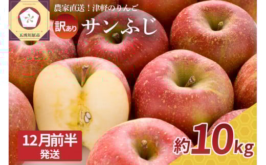 【2025年12月前半発送】  訳あり  りんご サンふじ 約 10kg 青森  果物  【 訳アリ リンゴ 林檎 ふじ さんふじ 】青森県五所川原市32000果物・フルーツりんご・梨