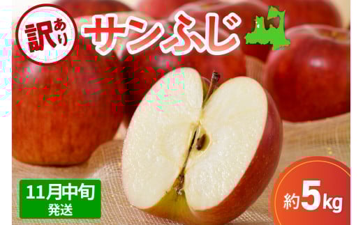 【先行受付】【2025年11月中旬発送】【訳あり】 りんご 5kg サンふじ 青森青森県五所川原市16000果物・フルーツりんご・梨