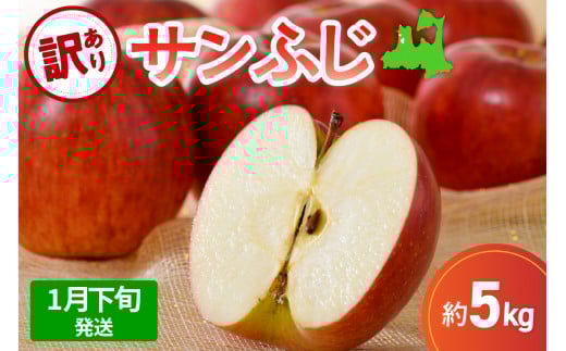 【先行受付】【2026年1月下旬発送】【訳あり】 りんご 5kg サンふじ 青森青森県五所川原市16000果物・フルーツりんご・梨