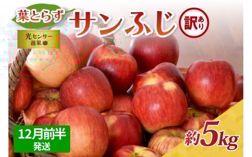 【2025年12月前半発送】【訳あり】青森県産葉とらずサンふじりんご約5kg青森県五所川原市18000果物・フルーツりんご・梨