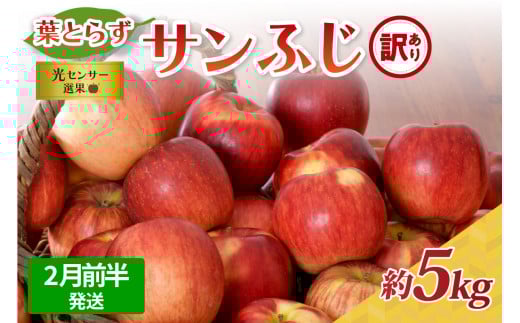 【2026年2月前半発送】【訳あり】青森県産葉とらずサンふじりんご約5kg青森県五所川原市18000果物・フルーツりんご・梨