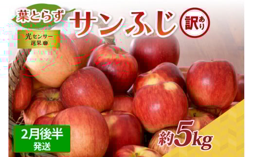 【2026年2月後半発送】【訳あり】青森県産葉とらずサンふじりんご約5kg青森県五所川原市18000果物・フルーツりんご・梨