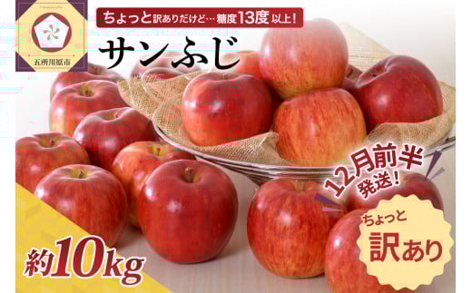 【先行受付】【2025年12月前半発送】 【訳あり】 りんご 約10kg サンふじ 青森産青森県五所川原市22000果物・フルーツりんご・梨