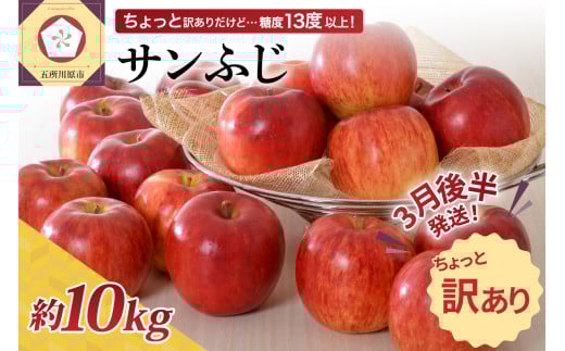 【先行受付】【2026年3月後半発送】 【訳あり】 りんご 約10kg サンふじ 青森産青森県五所川原市22000果物・フルーツりんご・梨