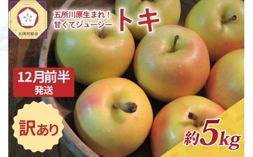 【2025年12月前半発送】訳あり トキ 約5kg青森県五所川原市17000果物・フルーツりんご・梨