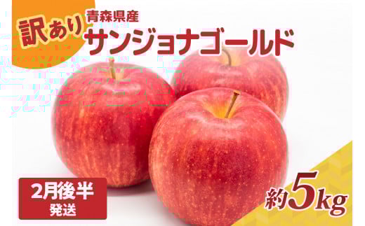 訳あり りんご5kg 程度【2026年2月後半発送】サンジョナゴールド 青森|不揃いリンゴ青森県五所川原市17000果物・フルーツりんご・梨