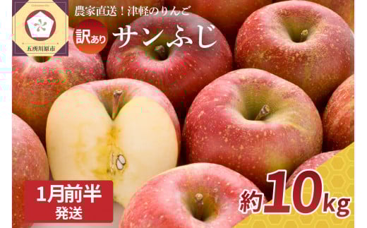 【2026年1月前半】 訳あり りんご サンふじ 約 10kg 青森 果物 【 訳アリ リンゴ 林檎 ふじ さんふじ 】青森県五所川原市32000果物・フルーツりんご・梨