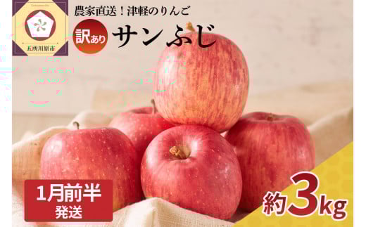 【2026年1月前半発送】 訳あり りんご サンふじ 約 3kg 青森 果物 【 訳アリ リンゴ 林檎 ふじ さんふじ 】青森県五所川原市14000果物・フルーツりんご・梨