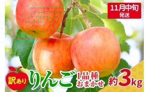 【2025年11月中旬発送】おまかせ 訳ありりんご 約 3kg (7〜12個程度) 青森 |選べる配送時期|  りんご 青森 五所川原 3kg 程度青森県五所川原市11000果物・フルーツりんご・梨