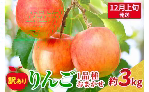 【2025年12月上旬発送】おまかせ 訳ありりんご 約 3kg (7〜12個程度) 青森 |選べる配送時期|  りんご 青森 五所川原 3kg 程度青森県五所川原市11000果物・フルーツりんご・梨