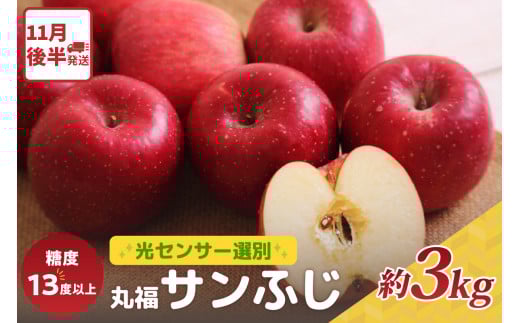 りんご サンふじ約3kg丸福 光センサー選果 糖度13度以上 青森産りんご 【2025年11月後半発送】 11月 12月 1月 2月 3月 配送 リンゴ 五所川原りんご青森県五所川原市14000果物・フルーツりんご・