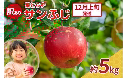 【2025年12月上旬発送】りんご 5kg 程度 葉とらず サンふじ 11月 12月 訳あり 青森産 りんご ふじ 【 サンふじりんご 葉とらずりんご リンゴジュースやお菓子作りにも くだものフルーツ果物林