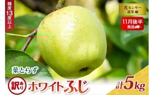 【2025年11月後半発送】【訳あり】葉とらずホワイトふじ5kg青森県五所川原市19000果物・フルーツりんご・梨