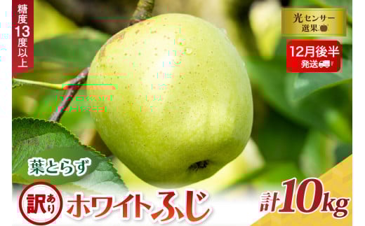 【2025年12月後半発送】【訳あり】葉とらずホワイトふじ10kg青森県五所川原市23000果物・フルーツりんご・梨