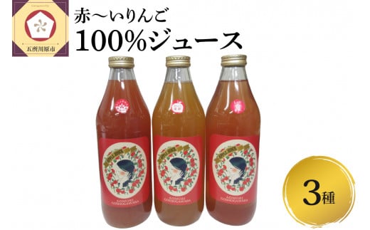 񂲃W[X ݔ 1L×3{ Zbg 100 Xg[g ʓԂ 3 Zbg y SW[X lߍ킹 䏊쌴 hg bhL[  S ь W[X  ʏ`