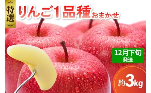 【2025年12月下旬発送】 【特選】 旬の美味しい りんご 約3kg 青森産 【おまかせ1品種】青森県五所川原市15000果物・フルーツりんご・梨