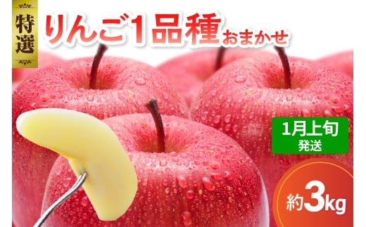 【2026年1月上旬発送】 【特選】 旬の美味しい りんご 約3kg 青森産 【おまかせ1品種】青森県五所川原市15000果物・フルーツりんご・梨