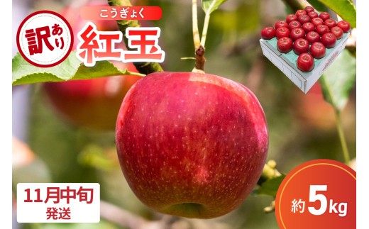 【2025年11月中旬発送】【訳あり】 りんご 5kg 紅玉 アップルパイ に最適 青森 不揃い青森県五所川原市16000果物・フルーツりんご・梨